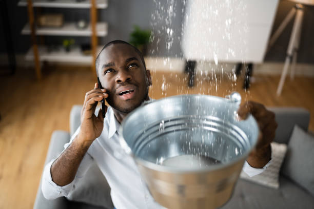 Best 24-hour water damage restoration  in Hoxie, AR
