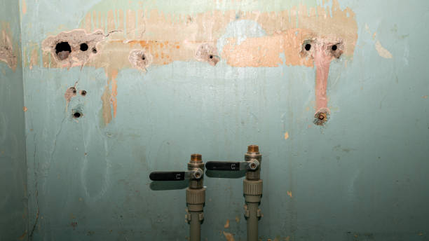 Best Flood restoration services  in Hoxie, AR