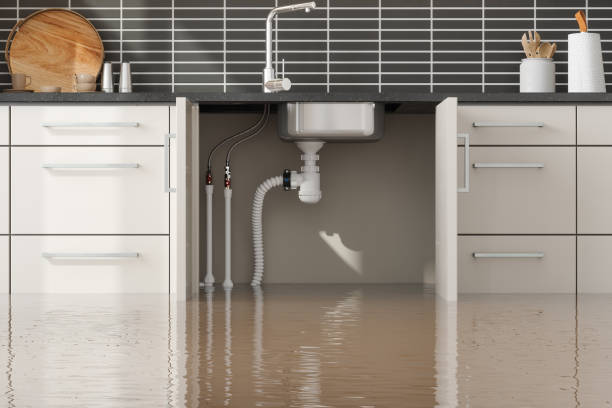 Best Local water damage restoration  in Hoxie, AR